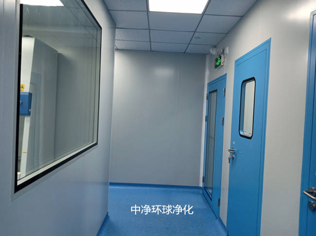 干细胞实验室设计建立