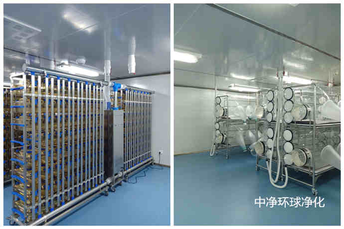 洁净动物房设计建造