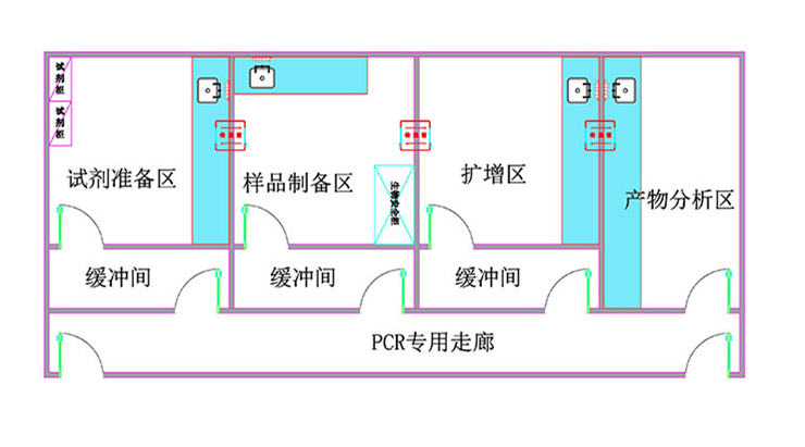 PCR实验室布局