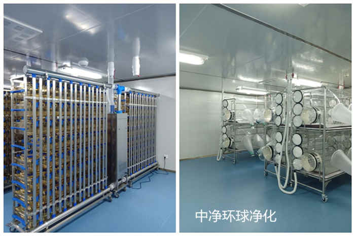 spf级动物房实验室节能设计